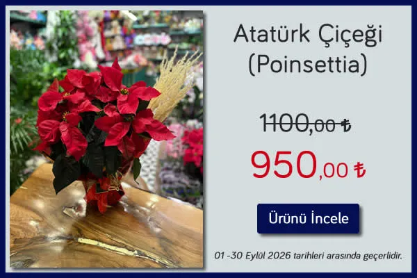 Atatürk Çiçeği (Poinsettia) 01 - 30 Eylül 2026 tarihleri arası geçerli, Kütahya Filiz Çiçek
