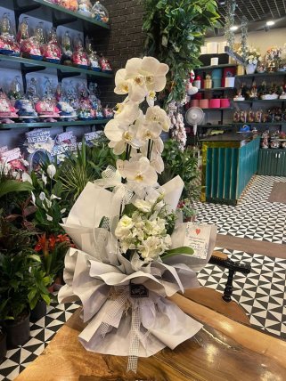 İki Dal Orkide ve Beyaz Çiçekler